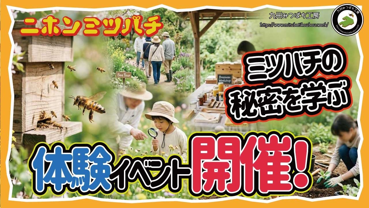 Two days to learn about Japanese honeybees | Honeybee tour