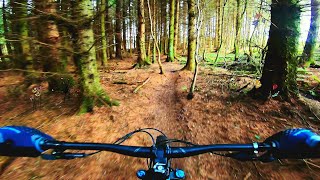 Guide to Callendar Estate MTB trails near Falkirk. All year round XC trails and some off piste too.