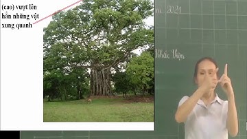 Tập đọc  Cây đa quê hương