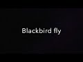 Beatles - Blackbird (lyrics) HD