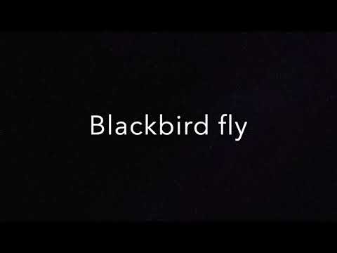 beatles---blackbird-(lyrics)-hd