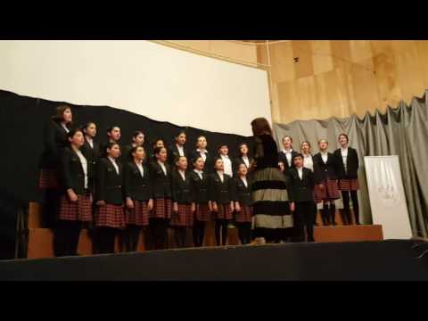 სკოლა \"ანი-Zet-ის\" გუნდი - ანო და ვანო