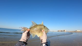 Puerto Penasco Shore Fishing Rocky Point Mexico