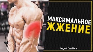 ИДЕАЛЬНАЯ ТРЕНИРОВКА ТРИЦЕПСА в Зале | Джефф Кавальер