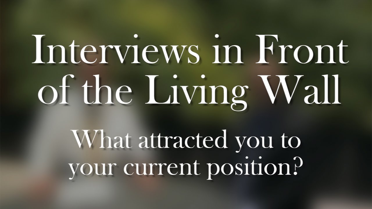 living wall interviews what attracted you to your current position