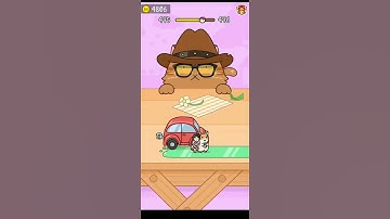 Hide and Seek: Cat Escape! 😹😻 #level 495 #shorts