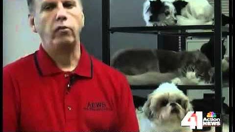 Freeze drying pets an increasing option