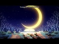 Innocent Sorrow AMV