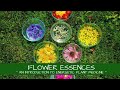 Flower essences  an introduction