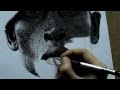 Рисунок карандашом (гиперреализм) drawing pensils art realism