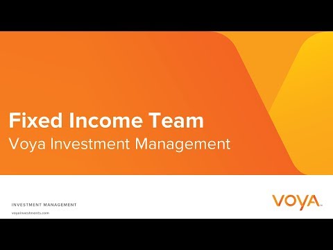 Voya Fixed Income Team Overview