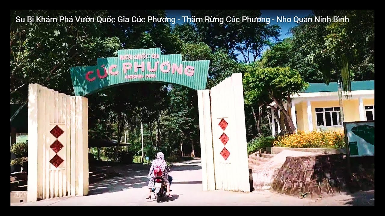 giá vé vào rừng cúc phương New 2022 Khám Phá Vườn Quốc Gia Cúc Phương - Cuc Phuong National Park - Nho Quan, Ninh Bình