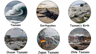 Why Earthquakes Trigger Tsunamis Explained in 10 Minutes