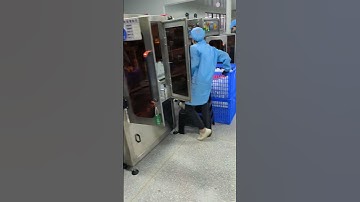 Fully Automatic 4 Heads Tracking Type Filling Capping Labeling Line Machine for 5LLiquid Detergent