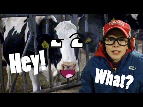 Lil Fred - Cows Talk?