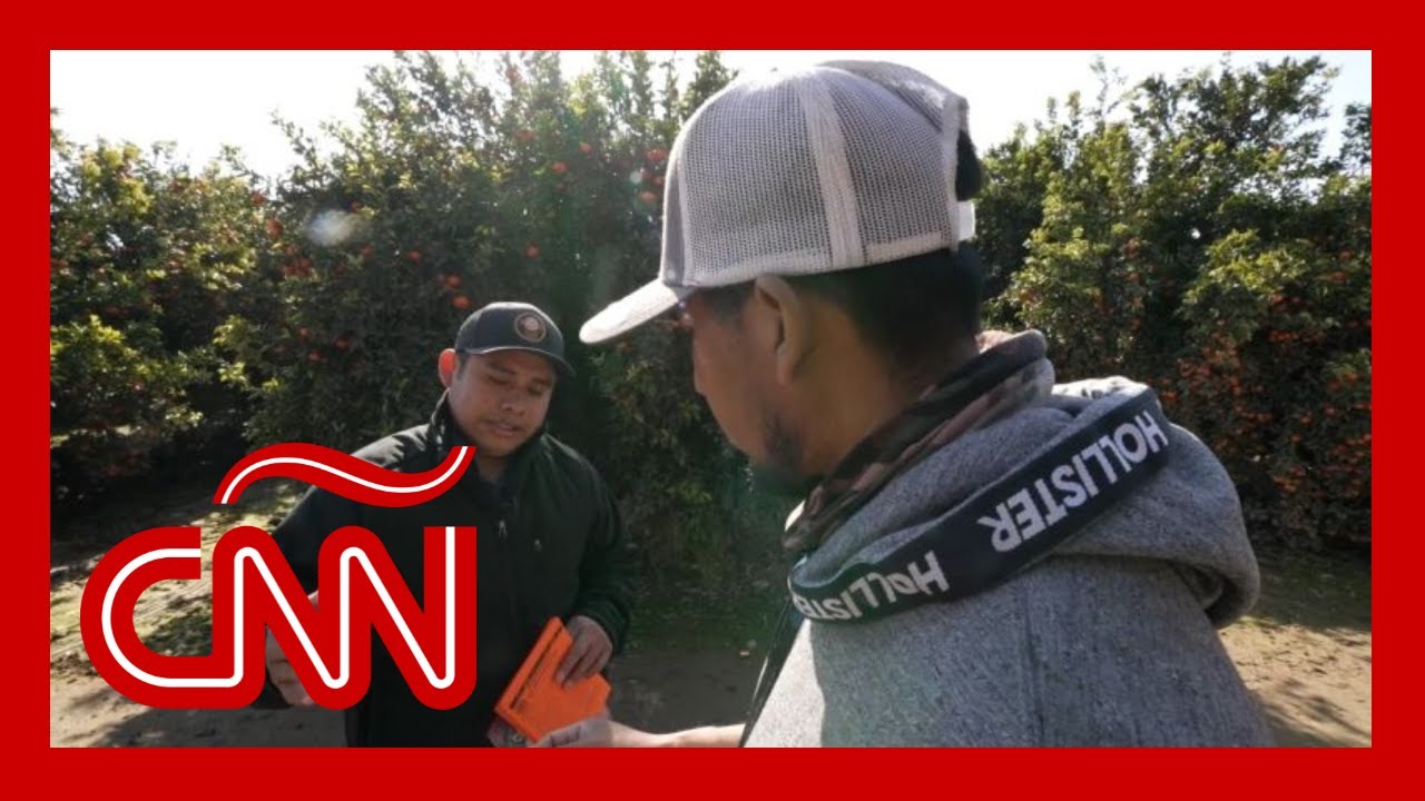 Organizaciones informan a trabajadores migrantes en el campo sobre sus derechos civiles en EE.UU.