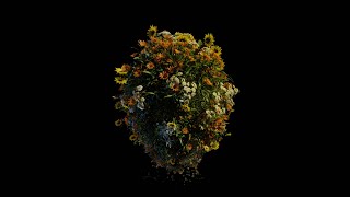 Flowers/Blender 3.6/Geometry nodes