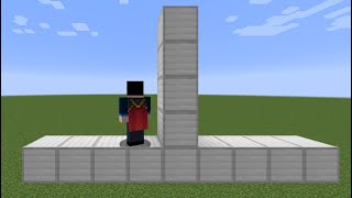 Minecraft Backwards Z neo