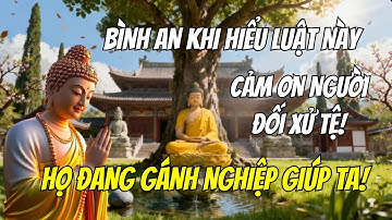 Lý Do Phải Cảm Ơn Người Đối Xử Tệ: Tiết Lộ Về Luật Gánh Nghiệp