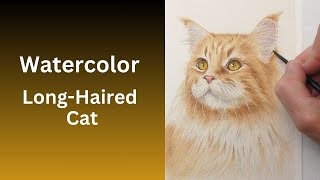 🐈How to Paint LONG HAIRED CAT in Watercolor