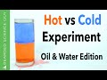 Hot vs Cold Experiment with a Twist (Chemistry)
