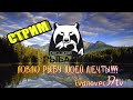 ЛОВЛЮ РЫБУ МОЕЙ МЕЧТЫ!!! ● РУССКАЯ РЫБАЛКА