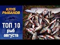 Рыбалка  Топ 10 рыб для ловли в августе