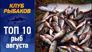 Рыбалка  Топ 10 рыб для ловли в августе