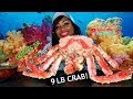 Bloveslife meets Curtis the Crab SR. a 9 LB Whole Alaskan King Crab