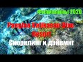 Филиппины 2020. Снорклинг и дайвинг на Панглао Panglao Kalikasan Dive Resort