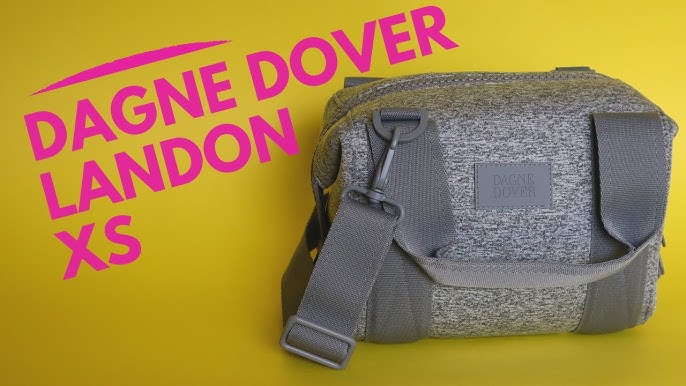 WHAT'S IN MY BAG  DAGNE DOVER LANDON CARRYALL💕 