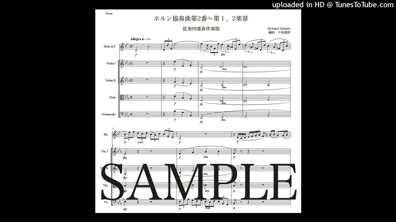 リヒャルト・シュトラウス「ホルン協奏曲第2番〜第1、2楽章」弦楽