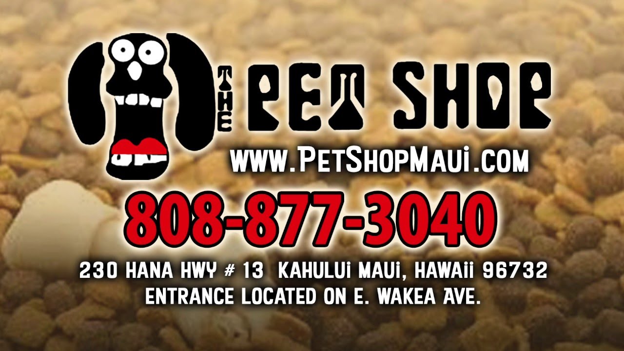 The Pet Shop Maui, Hawaii 8088773040 YouTube