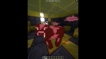 #shorts How to spawn cow