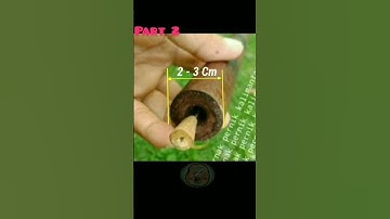 Senjata tradisional suku dayak yg paling mematikan part 2#shorts