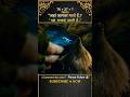 Jungle Story with Dark Magic Twist | The hobbit #story #shorts