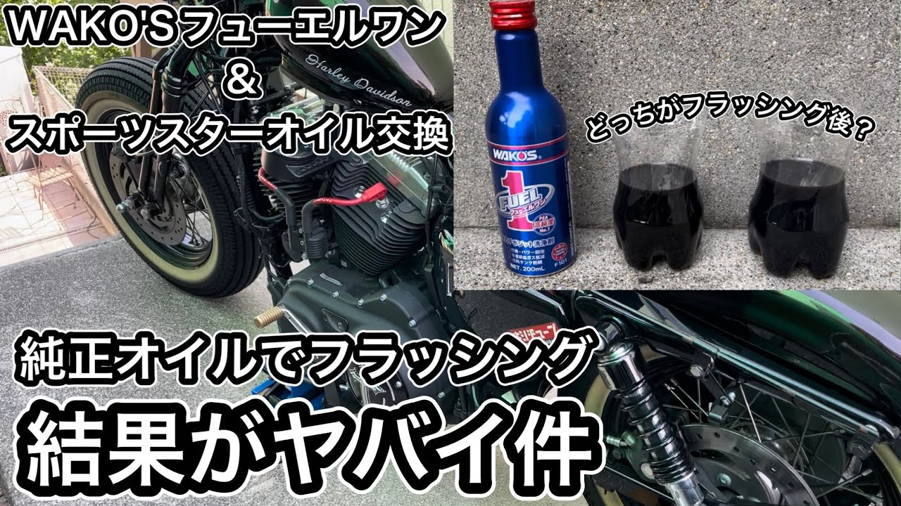 Amazon | 100％全合成 SYNTHETIC エボ、スポーツスター オイル