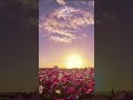 beshak #islamicshorts #isalamicvideo