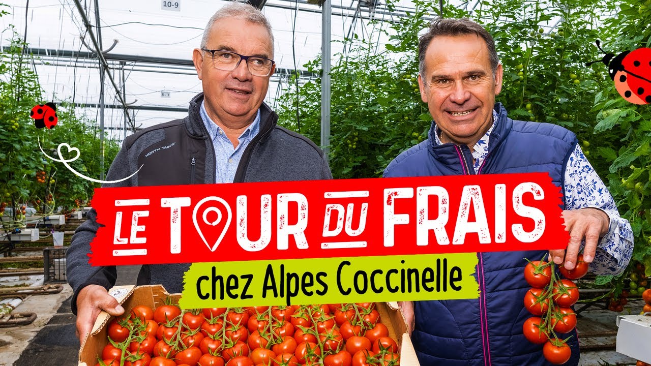 Grand Frais I Le tour du Frais avec Franck et Serge de chez Alpes Coccinelle