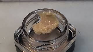 JK Distro Blueberry Muffin THCA BADDER (CONCENTRATE) | STRAIN REVIEW @jkdistributionofficial