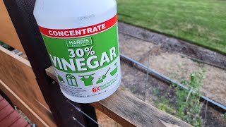 30% Vinegar for cleaning, sanitizing, & eliminating weeds