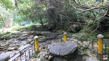 Tức Cảnh Pắc Bó Được Bác Hồ Sáng Tác Ở Đâu?#chiếnnhàsàn