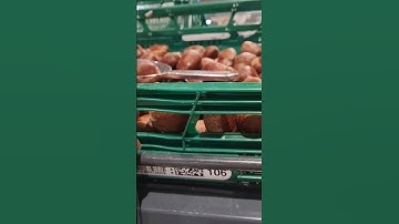 #SHORTS HẠT DE TO ĐẠI TƯƠNG BÁN Ở ĐỨC 10€ MỘT CÂN #KHANH NGUYEN CUỘC SỐNG ĐỨC