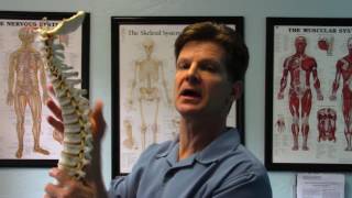Inflammatory of the Bones, Dr. Steve Sandifer, Champion Chiropractic Center INC.