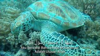 Download Mp3 Adzan Merdu Menyentuh Hati : KH. Sidiq Mulyana ( Qori Internasional ) Gudang lagu Download Mp3 Adzan Merdu Menyentuh Hati : KH. Sidiq Mulyana ( Qori Internasional )