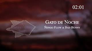 Ñengo Flow & Bad Bunny - Gato de Noche