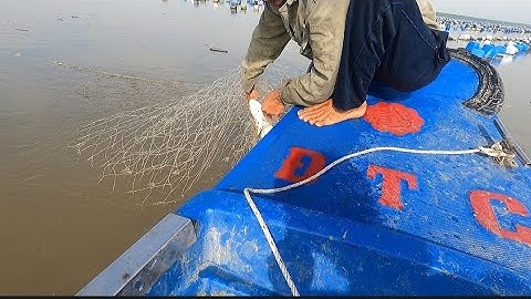 hai cha con đi thăm lưới cá chẽm thật là mai mắm, nhưng cái kết(lê nghĩa cần giờ)