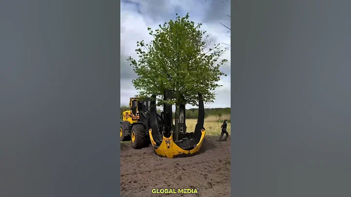"Tree Transplanting Machine – Uproot and Relocate Trees Easily"#shorts #shortvideos