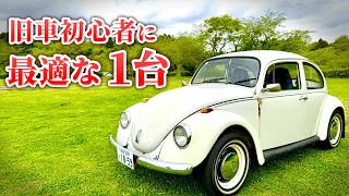 Must Watch! Why a Beginner Bought an Air-Cooled Beetle [1972 VW