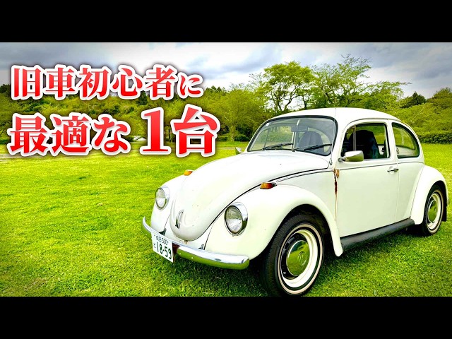Must Watch! Why a Beginner Bought an Air-Cooled Beetle [1972 VW